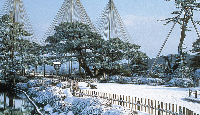 兼六園(冬)