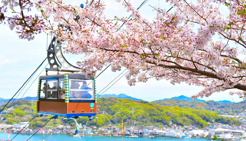🌸千光寺公園