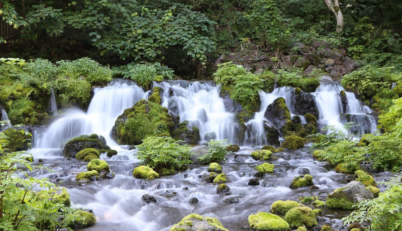 羊蹄山 名水公園