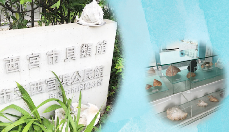 西宮市貝類館