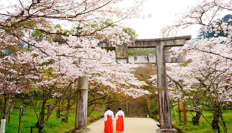 寶滿宮 竈門神社🌸