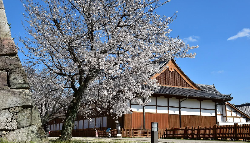 佐賀城公園