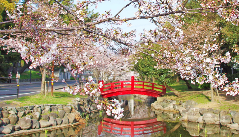 🌸琴彈公園