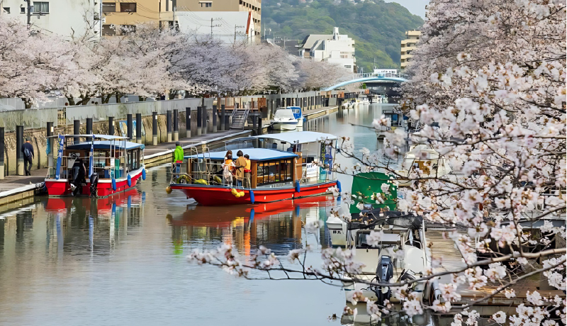 🌸高知市大鋸屋橋～堀川