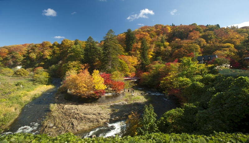 🍁中野紅葉山