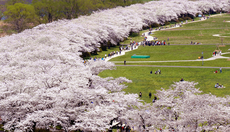北上展勝地