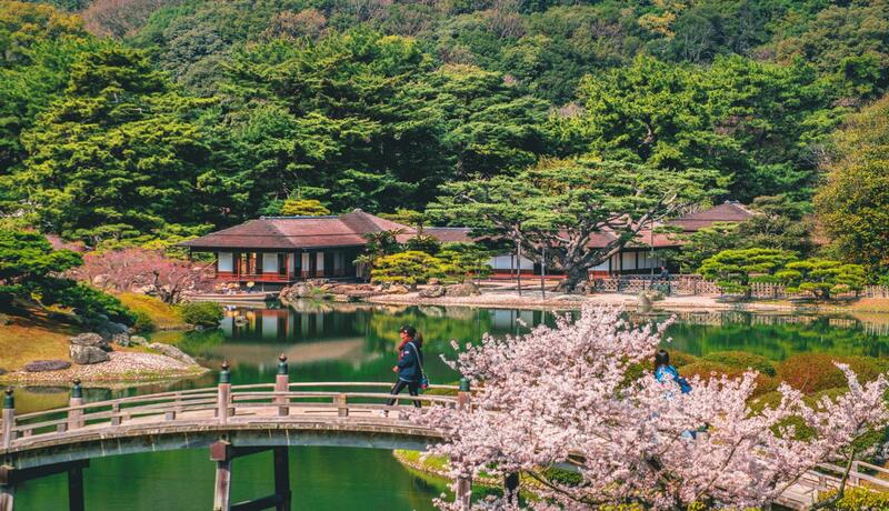 栗林公園🌸