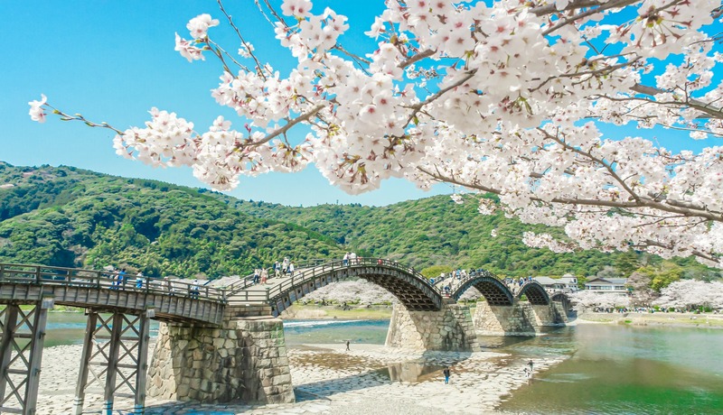 錦帶橋🌸