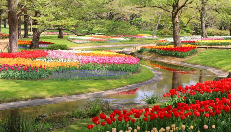 國營昭和紀念公園