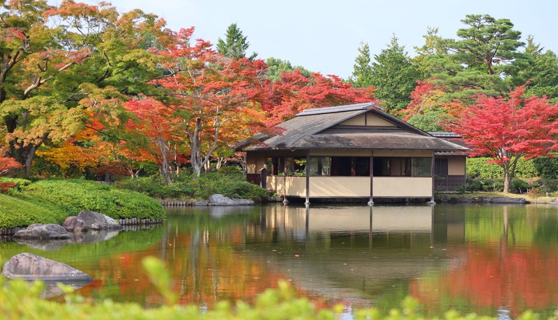 國營昭和紀念公園🍁