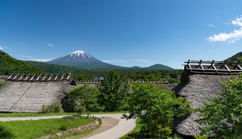 西湖療癒之里根場