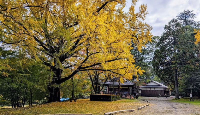 北畠氏館跡庭園
