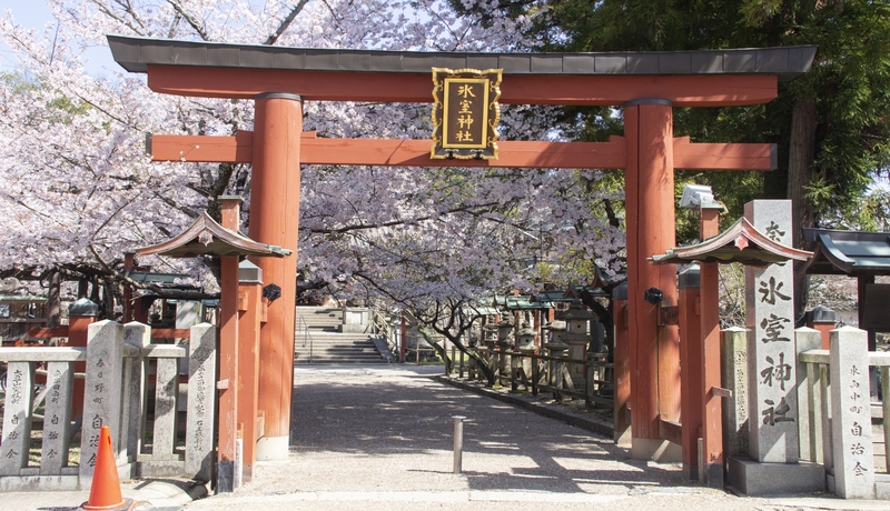 🌸冰室神社