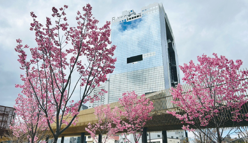 🌸梅田綠洲公園