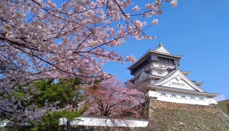 小倉城🌸
