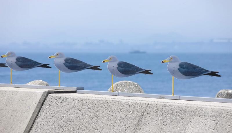 女木島