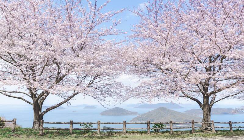 紫雲出山