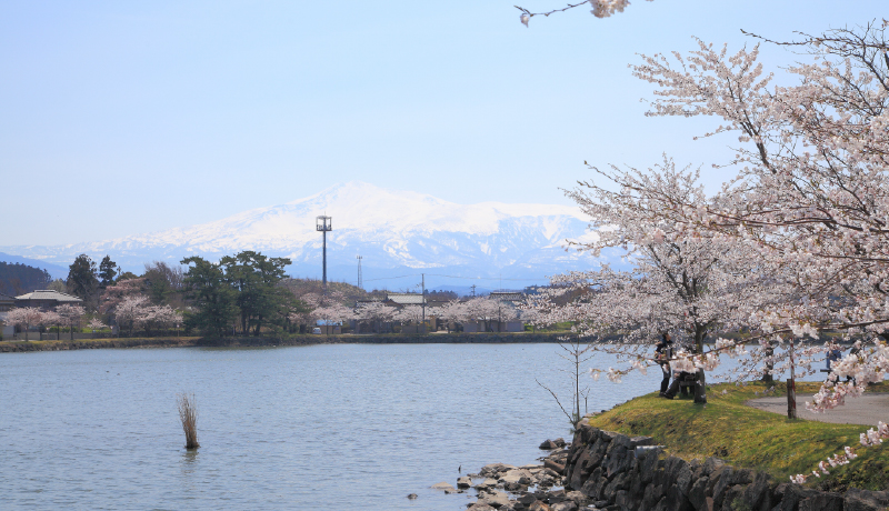 🌸勢至公園