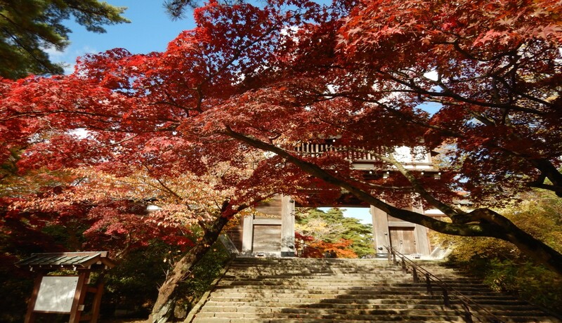 🍁千秋公園