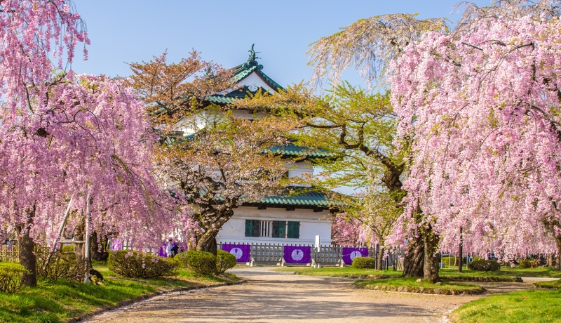 弘前城🌸