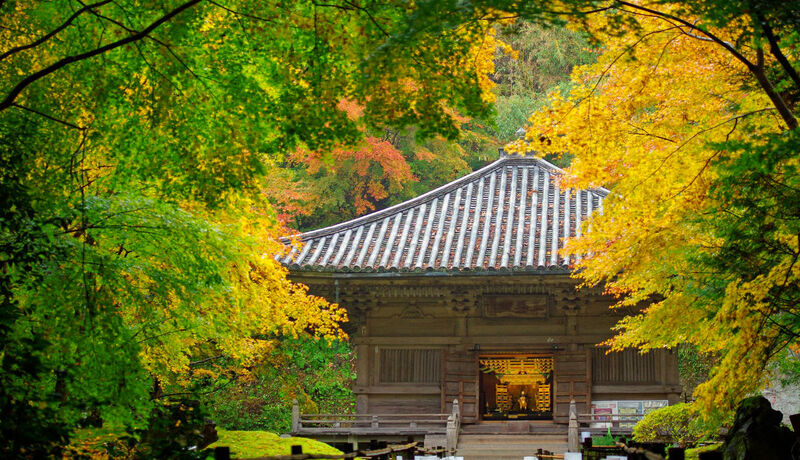 松島円通院