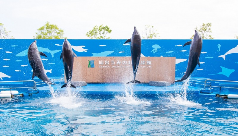 仙台海洋森林水族館